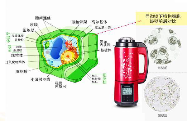 中國民族品牌網