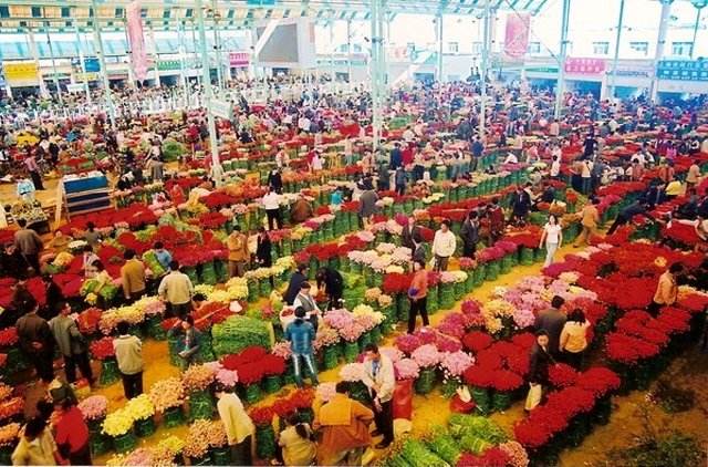 母親節鮮花如何選擇 鮮花有哪些品牌